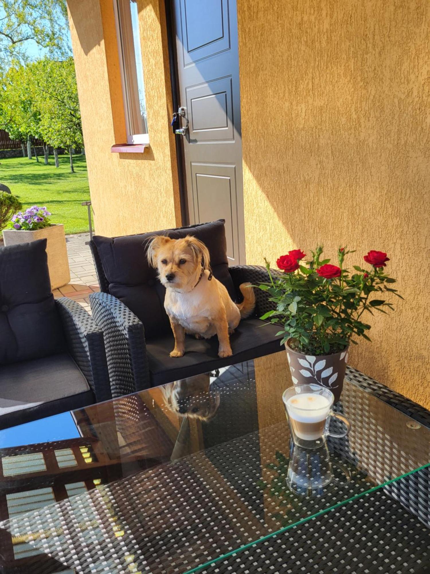 Namelis Rugile Apartment Druskininkai Bagian luar foto